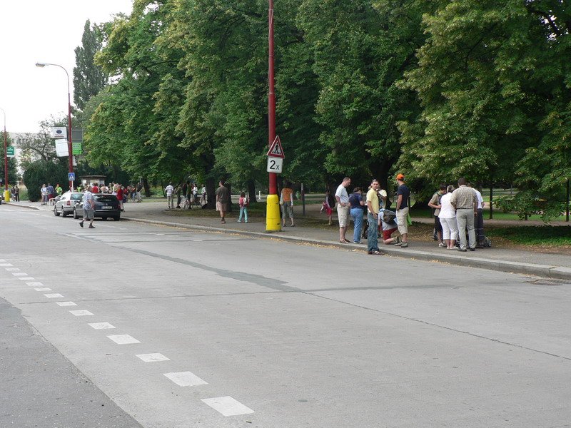 Fotografie